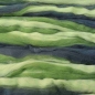 Preview: Merinokammzug Multicolor "Grüntöne" 50g